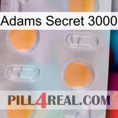 Adams Secret 3000 24